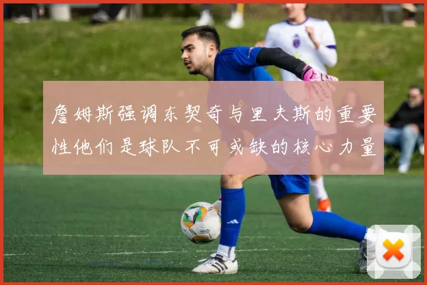 詹姆斯强调东契奇与里夫斯的重要性他们是球队不可或缺的核心力量